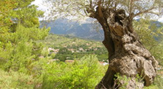 Großzügige Finca in der Gemeinde Mancor de la Vall mit traumhaften Blick auf das Dorf und auf das Tramuntana Gebirge